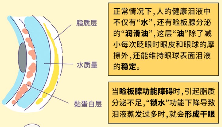 圖片.png 圖片.png