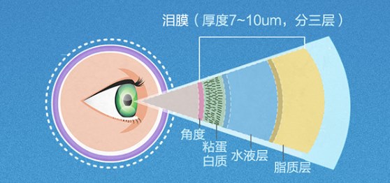 圖片.png 圖片.png