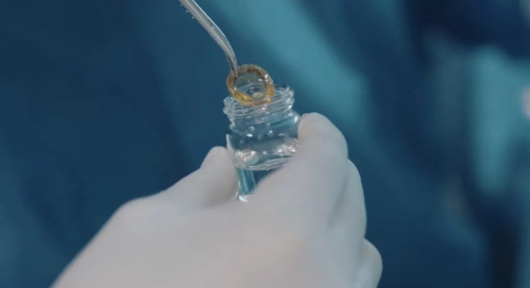 圖片.png 圖片.png