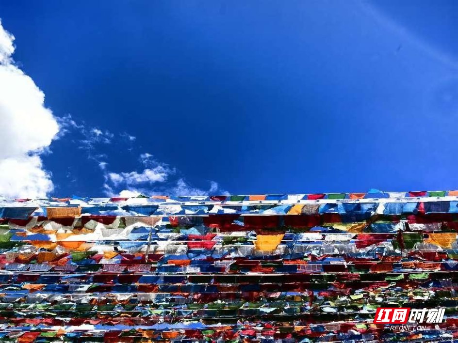 圖片.png 圖片.png