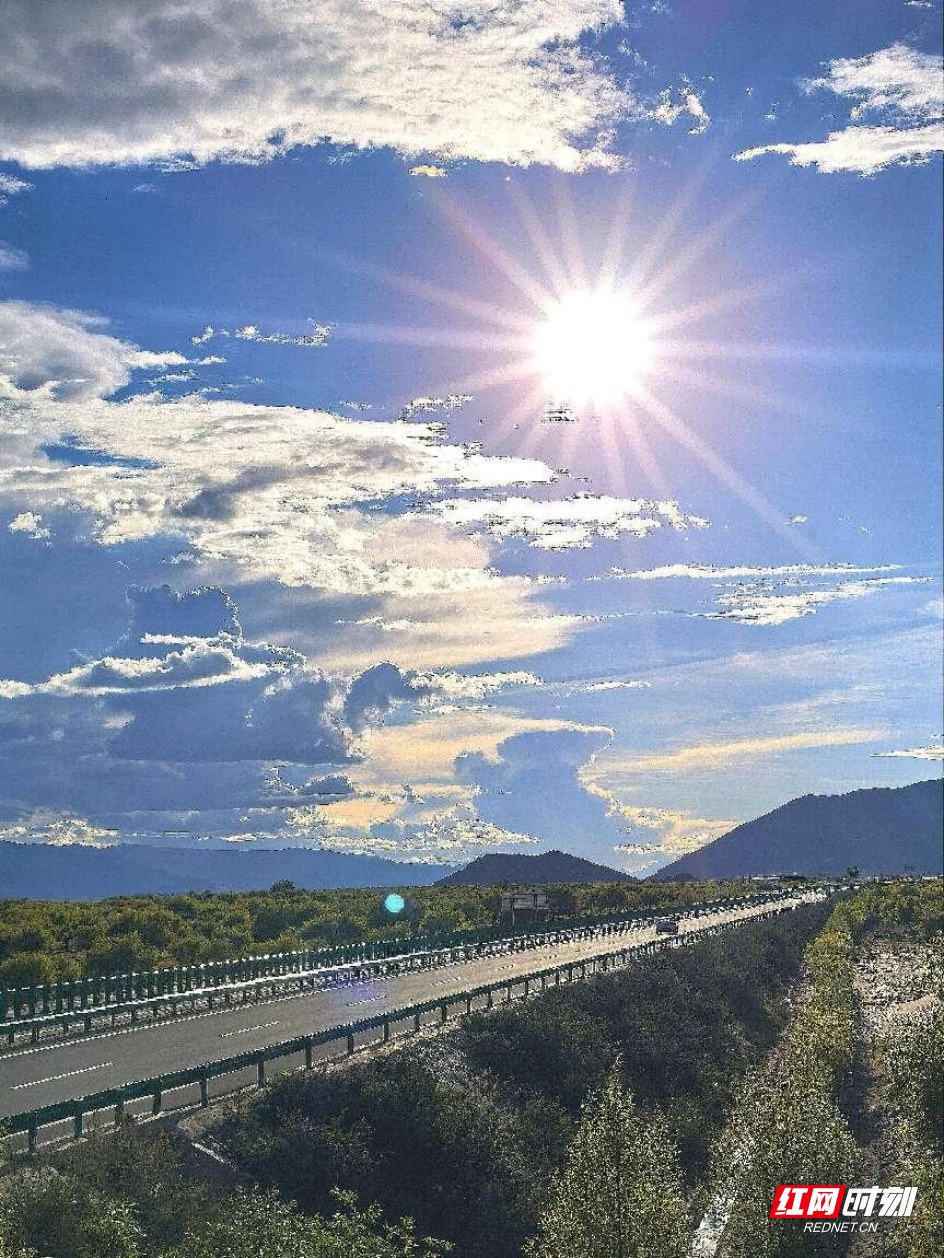 圖片.png 圖片.png