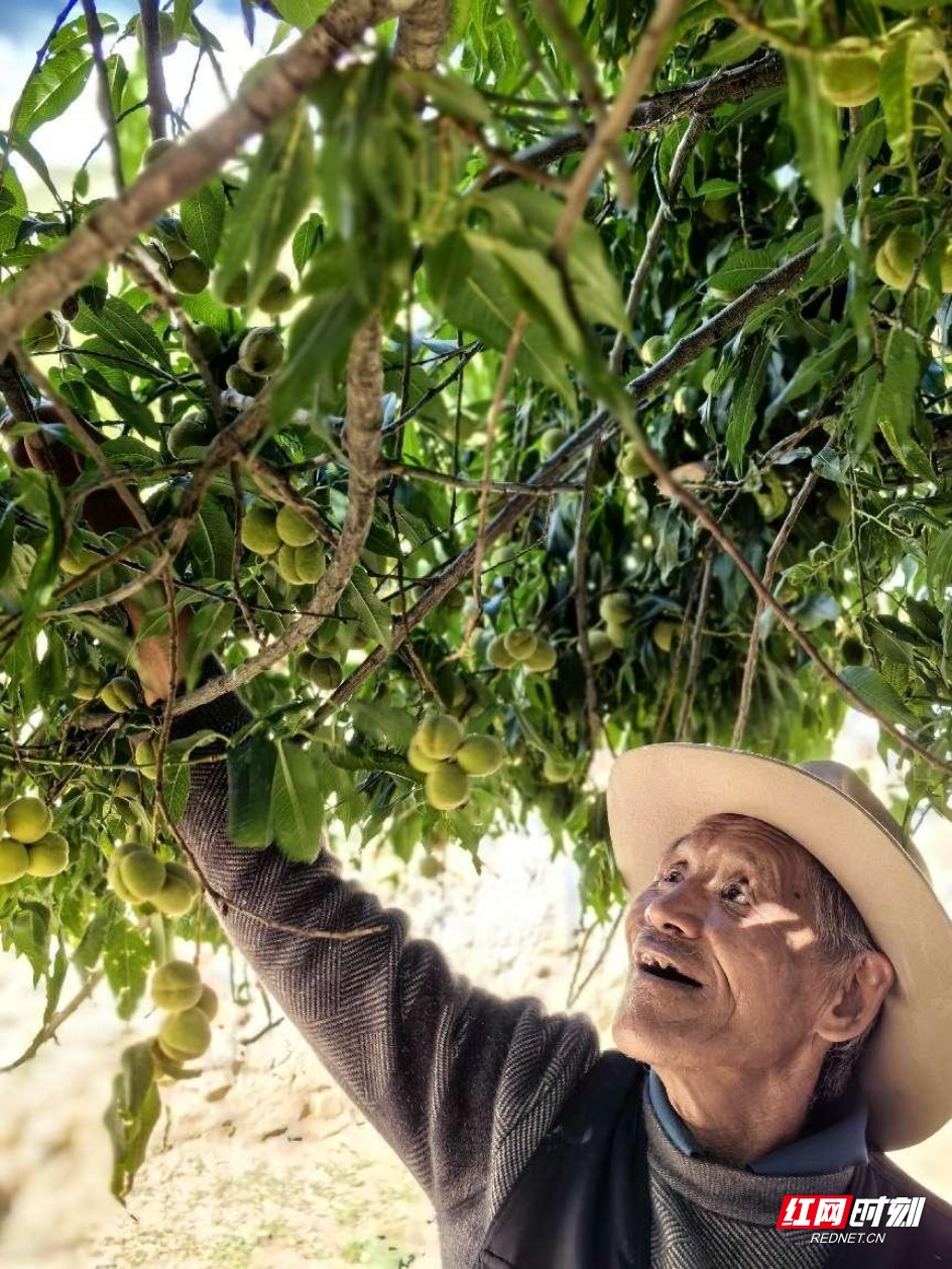 圖片.png 圖片.png