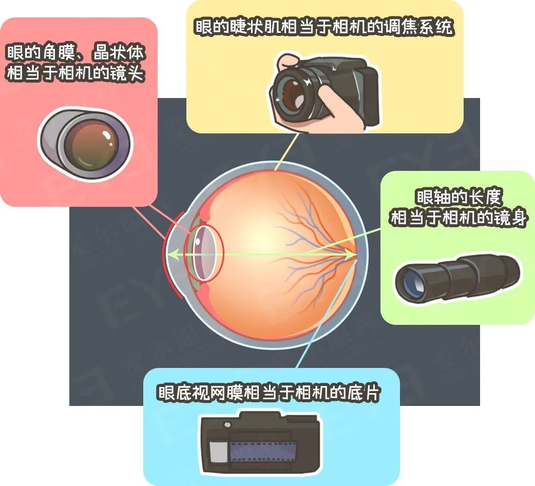 圖片.png 圖片.png