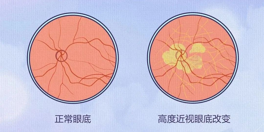 圖片.png 圖片.png