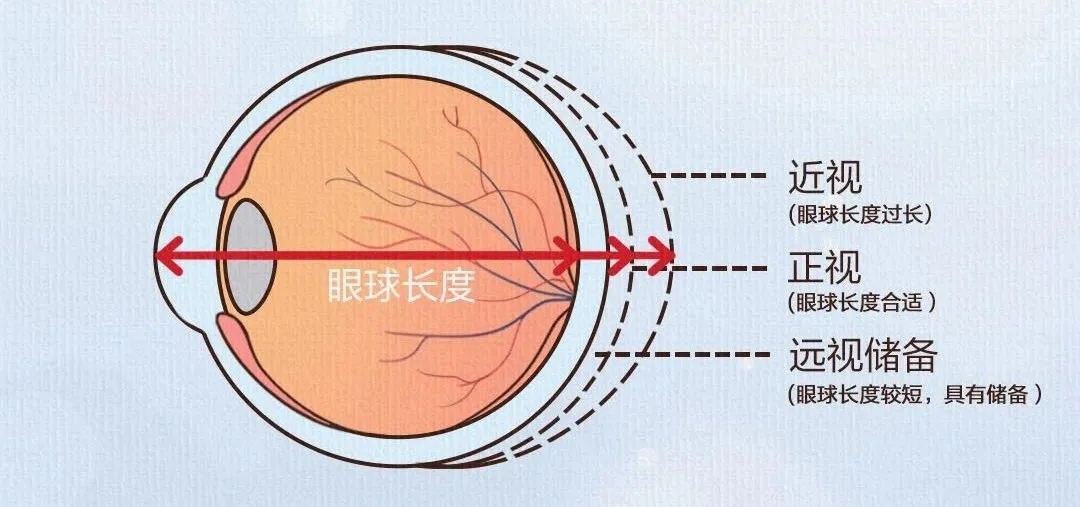 圖片.png 圖片.png