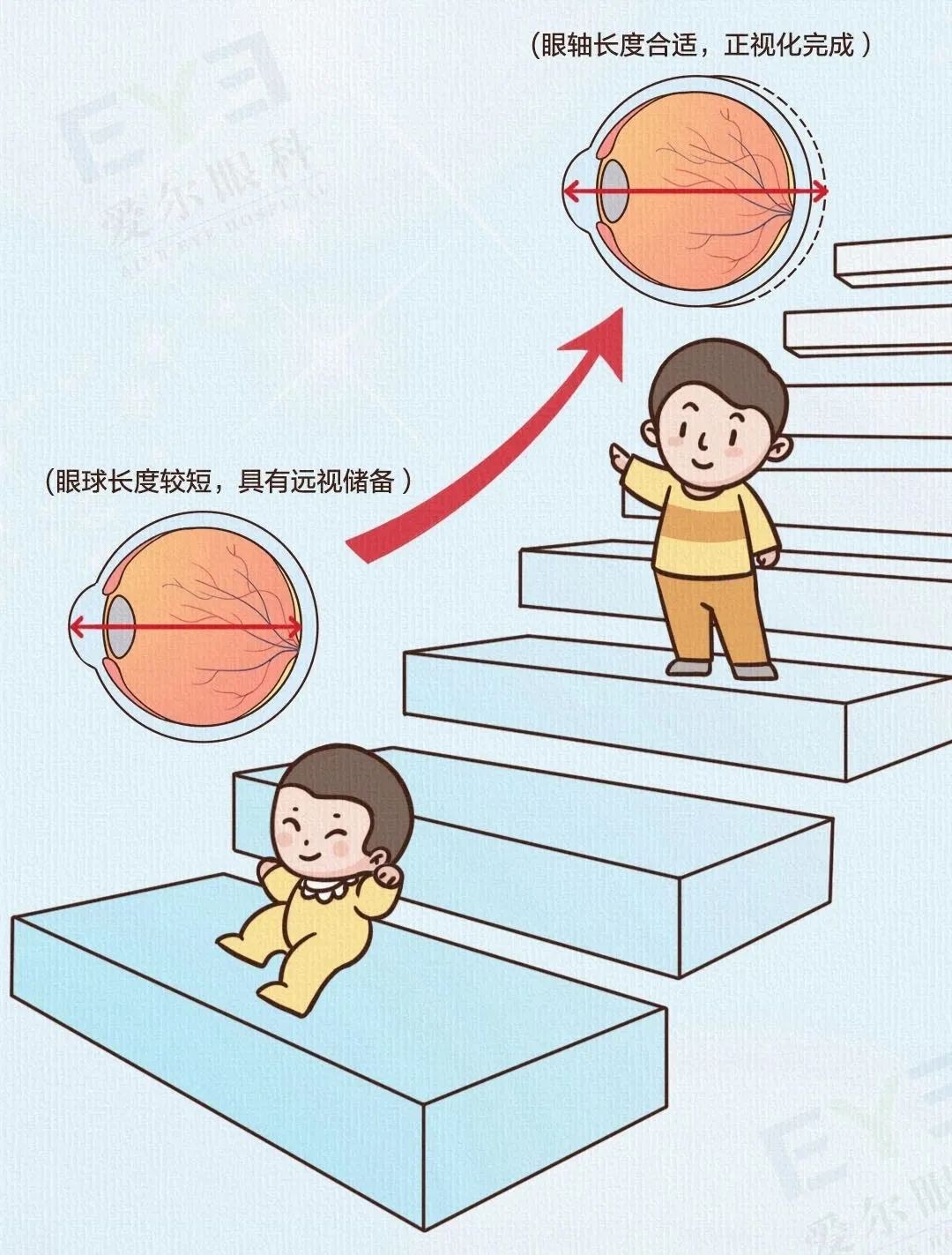 圖片.png 圖片.png