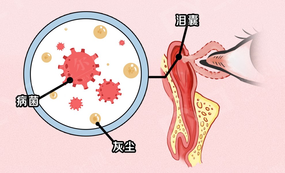 圖片.png 圖片.png