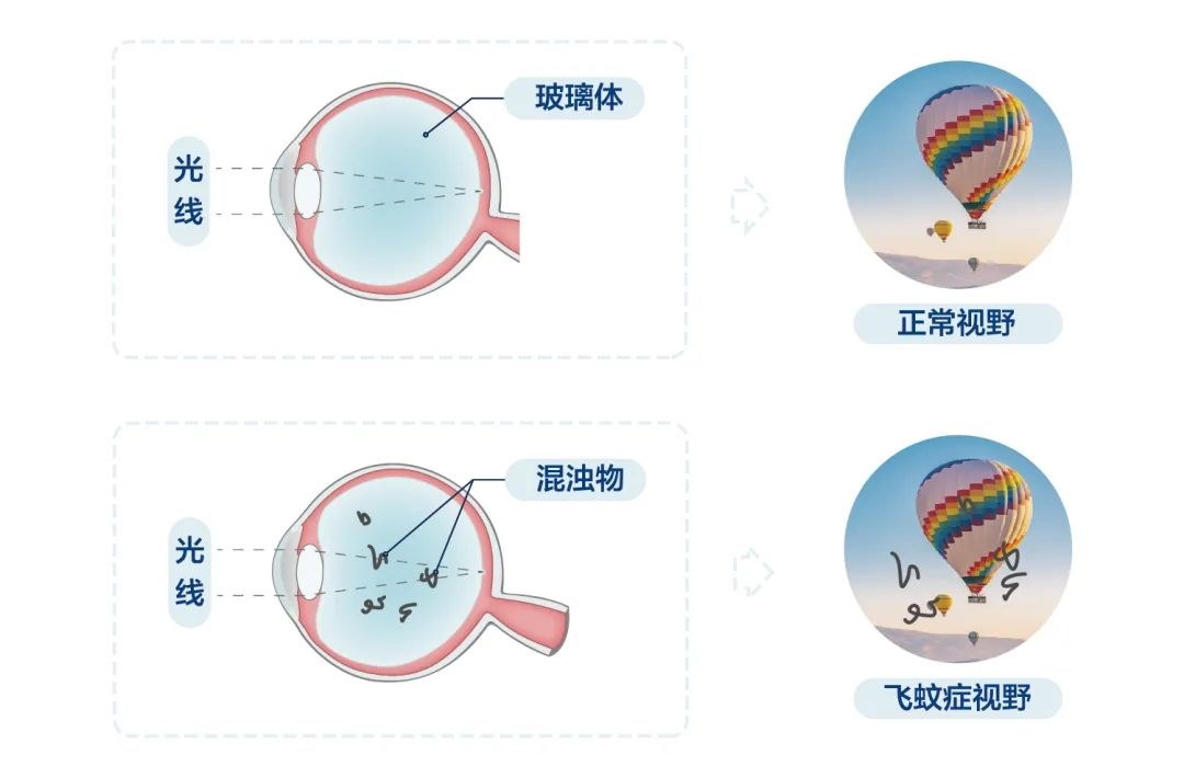 圖片.png 圖片.png