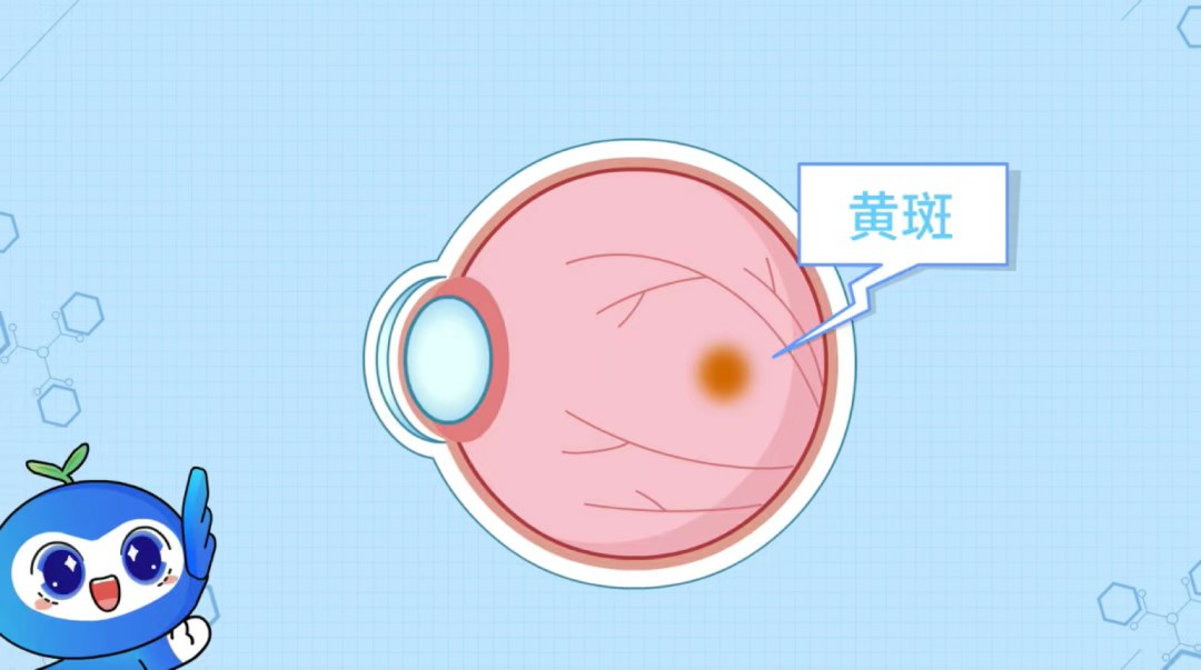 圖片.png 圖片.png