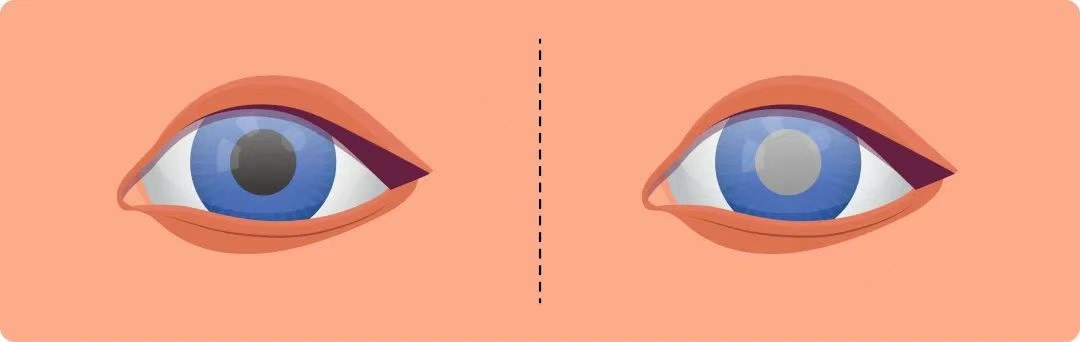 圖片.png 圖片.png