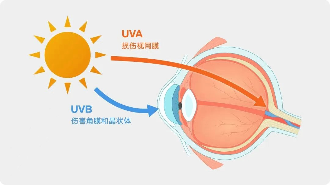 圖片.png 圖片.png