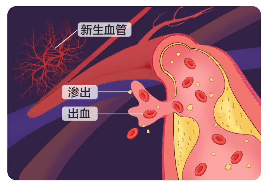 圖片.png 圖片.png