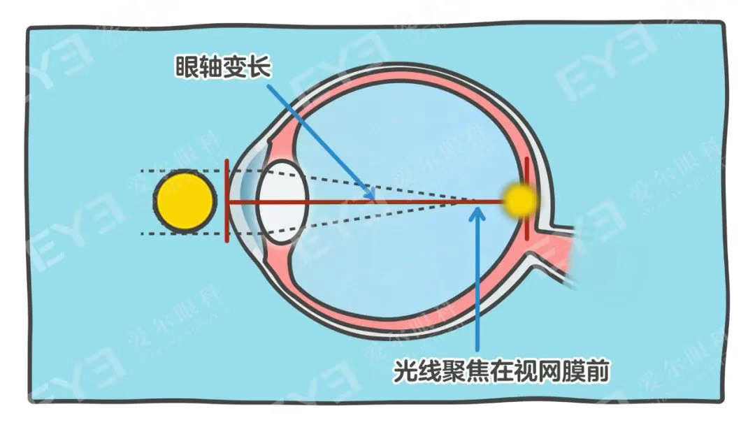 圖片.png 圖片.png