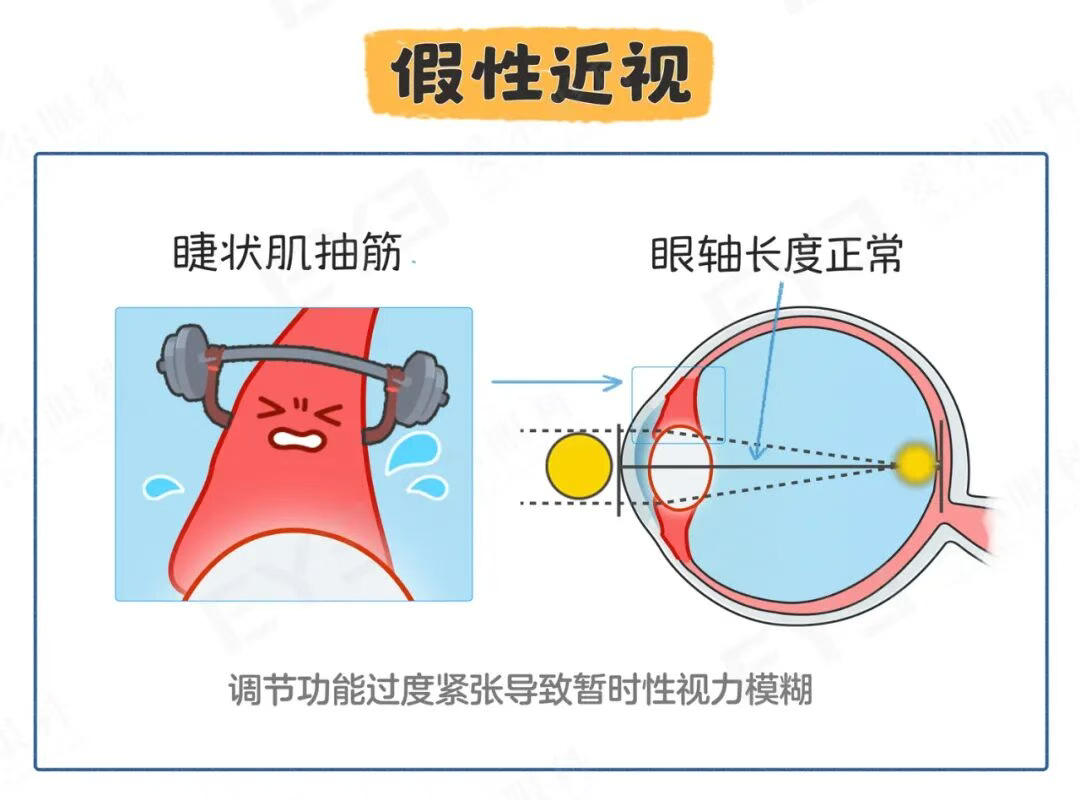 圖片.png 圖片.png